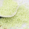 Baking Paint Glass Seed Beads SEED-S042-15B-24-1