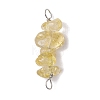 10Pcs 5 Styles Constellation Natural Smoky Quartz & Rose Quartz & Golden Sheen Obsidian & White Moonstone & Aquamarine Copper Wire Wrapped Chip Beaded Connector Charms PALLOY-JF02905-12-3