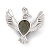 Natural Labradorite Pendants G-P484-05P-06-3