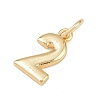 Brass Charms KK-G544-10G-02-2