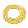 Natural Freshwater Shell Beads Strands SHEL-N003-25-B05-2