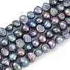 Natural Cultured Freshwater Pearl Beads Strands PEAR-P064-20B-02B-2