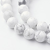 Natural Howlite Bead Strands G-G735-66-10mm-5