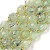 Natural Prehnite Beads Strands G-N342-43-1