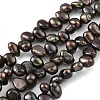 Dyed Natural Cultured Freshwater Pearl Beads Strands PEAR-A006-19B-X-2