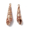 Electroplated Natural Cowrie Shell Pendants SHEL-F003-11-3