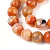 Dyed & Heated Natural Fire Crackle Agate Beads Strands G-N359-01A-06-4