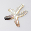 Sea Shell Pendants X-SSHEL-Q297-56-3