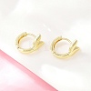 Brass Hoop Earrings EJEW-D348-27G-4