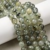 Natural Prehnite Beads Strands G-G457-8mm-03-7