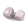 Natural Kunzite Beads G-G348-01B-15-2