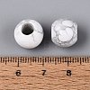 Natural Howlite European Beads G-Q602-09A-06-4