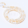 Natural Freshwater Shell Bead Strands X-SHEL-S253-01-2