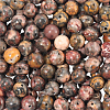 120Pcs Natural Leopard Skin Jasper Beads Strands G-PA0001-22B-1