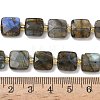 Natural Mixed Gemstone Beads Strands G-L642-L01-10mm-6