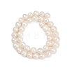 Natural Cultured Freshwater Pearl Beads Strands PEAR-I007-07Z-03C-02-3