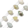 Natural Flower Amazonite Beads Strands G-Q167-A10-02-1