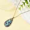 Natural Paua Shell Teardrop Pendant 304 Stainless Steel Cable Chain Necklaces NJEW-JN06362-1