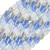 Electroplate Glass Beads Strands EGLA-P065-01A-05-1