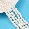 Natural Cultured Freshwater Pearl Beads Strands PEAR-P064-20J-06A-1