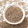 12/0 Electroplate Glass Seed Beads SEED-Q003-01-1