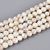 AB Color Natural Freshwater Shell Beads Strands BSHE-T014-40C-1