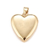 Brass Micro Pave Cubic Zirconia Locket Pendants X-KK-A161-47G-2