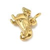 304 Stainless Steel Pendants STAS-P391-01A-G-2