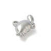 304 Stainless Steel Charms X-STAS-F320-13P-2