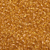8/0 Glass Seed Beads X-SEED-A004-3mm-2-2