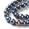 Natural Cultured Freshwater Pearl Beads Strands PEAR-E018-88-3