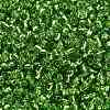 FGB 8/0 Grade A Round Glass Seed Beads SEED-Q007-3mm-F49-3