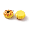 Resin Imitation Food Pendants RESI-U005-01C-2