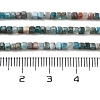 Natural Blue Apatite Beads Strands X-G-P457-B01-14B-5