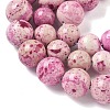 Natural Fossil Graduated Beads Strands G-F830-A03-01-6