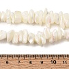 Natural White Mother of Pearl Shell Chip Bead Strands G-M205-63-6