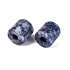 Natural Blue Spot Jasper European Beads G-P520-05J-3