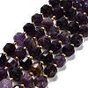 Natural Amethyst Beads Strands G-P568-B01-01-2