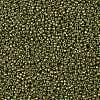 TOHO Round Seed Beads SEED-JPTR11-1702-2