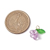 Acrylic Charms PALLOY-JF03079-2