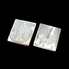 Carved Natural White Shell Cabochons SSHEL-N038-07-06-2