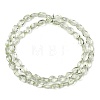 Transparent Glass Beads Strands GLAA-H038-03B-2