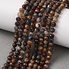 Natural Pietersite Beads Strands G-G792-37C-1