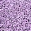 FGB Grade A Frosted Glass Seed Beads SEED-Q040-04A-05-4