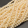 Natural Cultured Freshwater Pearl Beads Strands PEAR-F001-30-01-1