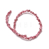 Natural Freshwater Shell Beads SHEL-B003-01K-2