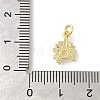 Rack Plating Brass Micro Pave Cubic Zirconia Charms KK-S396-46G-3