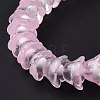 Transparent Glass Beads Strands LAMP-H061-01C-6