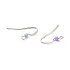 316 Surgical Stainless Steel Earring Hooks STAS-E044-02P-3