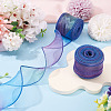 2 Rolls Polyester Mesh Ribbons SRIB-TA0003-42A-5